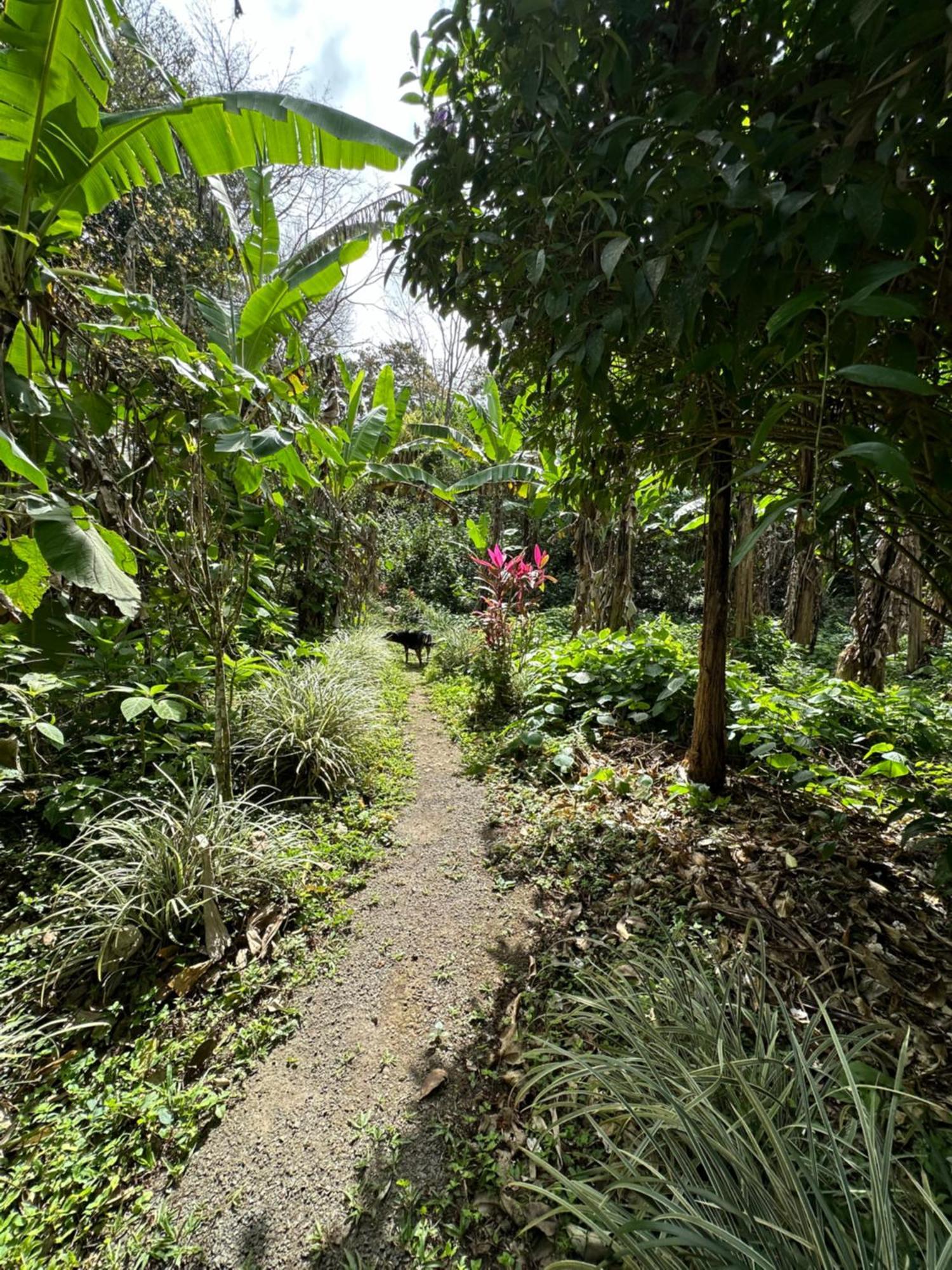 Lake Arenal Brewery & Hotel Tilaran Bagian luar foto