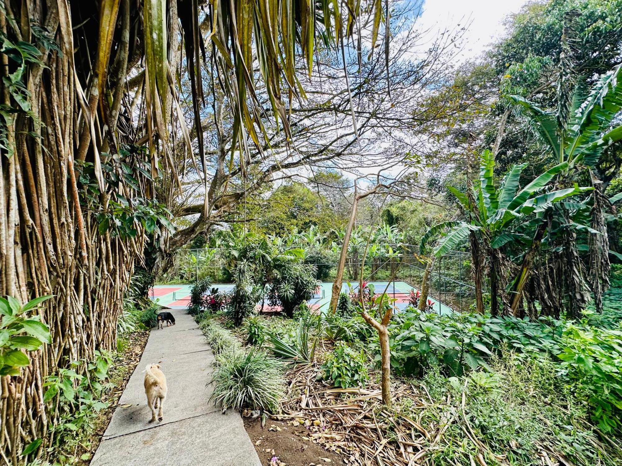 Lake Arenal Brewery & Hotel Tilaran Bagian luar foto